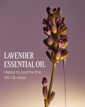 Le Savon Lavender Liquid Hand Soap Refill