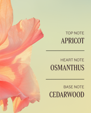 Osmanthus Abricot Perfumed Shower Gel