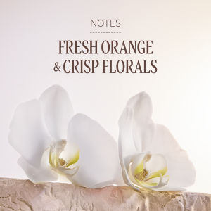 N&eacute;roli & Orchid&eacute;e Eau Harmonieuse Hand Cream