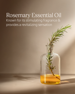 Volume & Strength Shampoo Refill