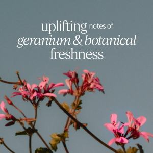 Verbena Geranium Eau de Toilette